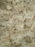 Scoured Dag Wool